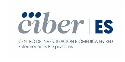logo Ciber ES